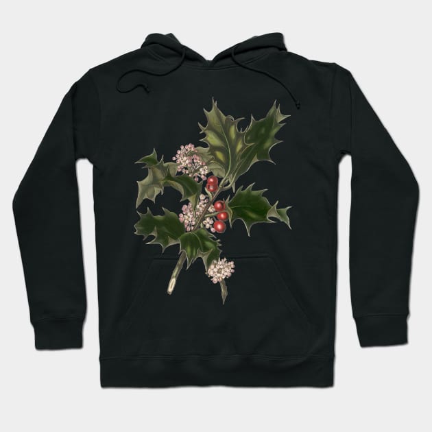 Vintage Christmas Holly Branch Hoodie by MasterpieceCafe